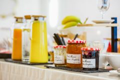 Phoenix_20231014_40-scaled